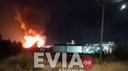 Εύβοια: Πυρκαγιά σε εργοστάσιο πέλετ - Ανησυχία για  τις αποθήκες προπανίου