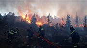 Δασικές πυρκαγιές και σε Αχαΐα - Μεσσηνία
