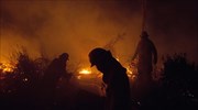 Αχαΐα: Οριοθετήθηκε η φωτιά στην περιοχή Βελιτσές