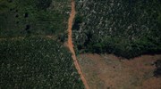 «Κόκκινος συναγερμός» στην Αμαζονία: Ανεπανόρθωτα κατεστραμμένο το 26% του πρασίνου