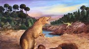 Ανακαλύφθηκε το αρχαιότερο θηλαστικό στον πλανήτη