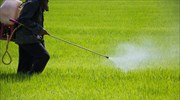 Ο πόλεμος περιπλέκει τα ευρωπαϊκά σχέδια για μείωση της χρήσης φυτοφαρμάκων