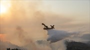 Θάσος: Δασική πυρκαγιά στο Ραχώνι