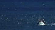 Καθολική απαγόρευση αλιείας στη Γυάρο για να προστατευτεί η βιοποικιλότητα