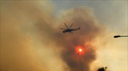 Ηλεία: Πυρκαγιά σε αγροτοδασική έκταση
