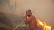 arogi.gov.gr: Άνοιξε για τους πυρόπληκτους Μεγάρων, Βρίσας, Κρεστένων - Παρατείνεται για Πεντέλη