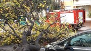 Πυροσβεστική: Πάνω από 160 κλήσεις για παροχή βοήθειας στην Κ. Μακεδονία λόγω καιρού