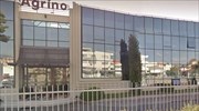Agrino: Αύξηση τζίρου και προοπτικές εξαγωγών  - Σημαντική επένδυση 6 εκατ. ευρώ