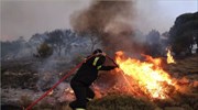 Πύρινο μέτωπο στην Περαχώρα Κορνθίας - Ελέγχθηκε άμεσα πυρκαγιά στο Κορωπί Αττικής