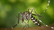 Δύναμη Ζωής: Στο έλεος των κουνουπιών οι πολίτες της Αττικής - Να ενημερώσει η Περιφέρεια για το πρόγραμμα