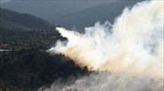Ξάνθη: Δασική πυρκαγιά στην Αχλαδιά - Υψηλός κίνδυνος την Τρίτη