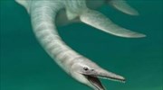 Ανακαλύφθηκε πανάρχαιος «κροκοδειλόσαυρος»