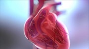 Δωρεάν καρδιολογικός έλεγχος από το Ελληνικό Ίδρυμα Καρδιολογίας