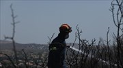 Πύργος: Φωτιά σε αγροτική έκταση στην περιοχή Σπιάντζα