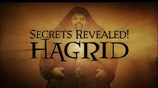 Secrets Revealed! Hagrid | Harry Potter Behind the Scenes
