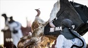 Ολλανδία: Σφαγιάζονται 300.000 πουλερικά λόγω της γρίπης των πτηνών