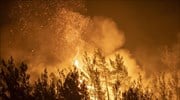 ΕΕ: Την τελευταία εξαετία οι τρεις χειρότερες περίοδοι δασικών πυρκαγιών