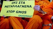 Greenpeace: Μεταλλαγμένοι σπόροι βαμβακιού στην ελληνική αγορά