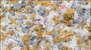 Κοινωνικά απαράδεκτη η πλαστική σακούλα στην Ιρλανδία