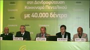 Δενδροφύτευση στην Πεντέλη την Κυριακή