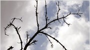 Πρόγνωση καιρού για την Τετάρτη
