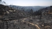 Κατασβέστηκε η πυρκαγιά στο Ισραήλ