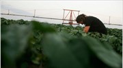 Η έκθεση σε παρασιτοκτόνα αυξάνει το κίνδυνο εμφάνισης Αλτσχάιμερ