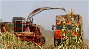 Διαψεύδει η Μόσχα τα περί εισαγωγής σιτηρών