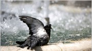 Θερμό το Σαββατοκύριακο του Δεκαπενταύγουστου
