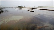 Λουϊζιάνα: Μολυσμένα από πετρέλαιο160 χλμ. ακτών
