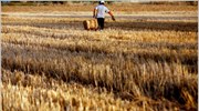 Κόβονται αγροτικές επιδοτήσεις