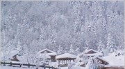 Προβλήματα από τη χιονόπτωση στη Φθιώτιδα