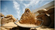 FAO: «Καμπανάκι» για τους ρυθμούς υποβάθμισης των εδαφών