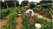 ΕΛΓΑ: Αποζημιώσεις παραγωγών την Παρασκευή