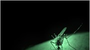 Υποσαχάρια Αφρική: πού πήγαν τα κουνούπια - φορείς της ελονοσίας;