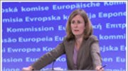 Κομισιόν: Η Ελλάδα οφείλει να σέβεται το δικαίωμα στην ειρηνική διαδήλωση