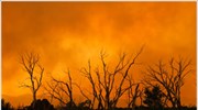 ΗΠΑ: Μαίνεται η πυρκαγιά στην Αριζόνα