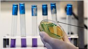 Αβοκάντο με E.coli εισήχθησαν στην Ταϊλάνδη από την Ευρώπη