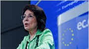 Δυσαρέσκεια Κομισιόν για τη δήλωση της Μ. Δαμανάκη