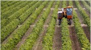 ΟΗΕ: Η οικολογική γεωργία μπορεί να διπλασιάσει την παραγωγή στον αναπτυσσόμενο  κόσμο