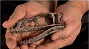 Aγνωστο είδος αρχαίου δεινοσαύρου