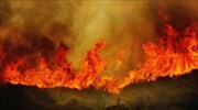 Αυξημένος κίνδυνος πυρκαγιών λόγω της κλιματικής αλλαγής