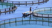 Koμισιόν: Νέες κατευθυντήριες γραμμές για την υδατοκαλλιέργεια