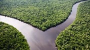 Ινδονησία: Πρωτοποριακό σχέδιο προστασίας τροπικού δάσους
