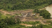Βραζιλία: Στα χαμηλότερα επίπεδα η αποψίλωση του Αμαζονίου