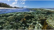 «Κατάδυση» στον Μεγάλο Κοραλλιογενή Ύφαλο μέσω Google Maps