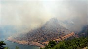 Στην Κομισιόν το θέμα των πυρκαγιών στη Χίο