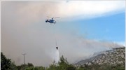 Μάχη με τις φλόγες στη Χίο
