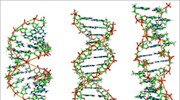 DNA ως μέσο αποθήκευσης: η γενετική «απειλεί» τις ψηφιακές συσκευές