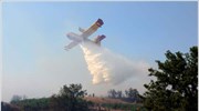 Σκύρος: Πυρκαγιά στην περιοχή Μπάρες
